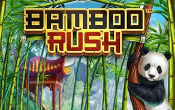 Bamboo Rush